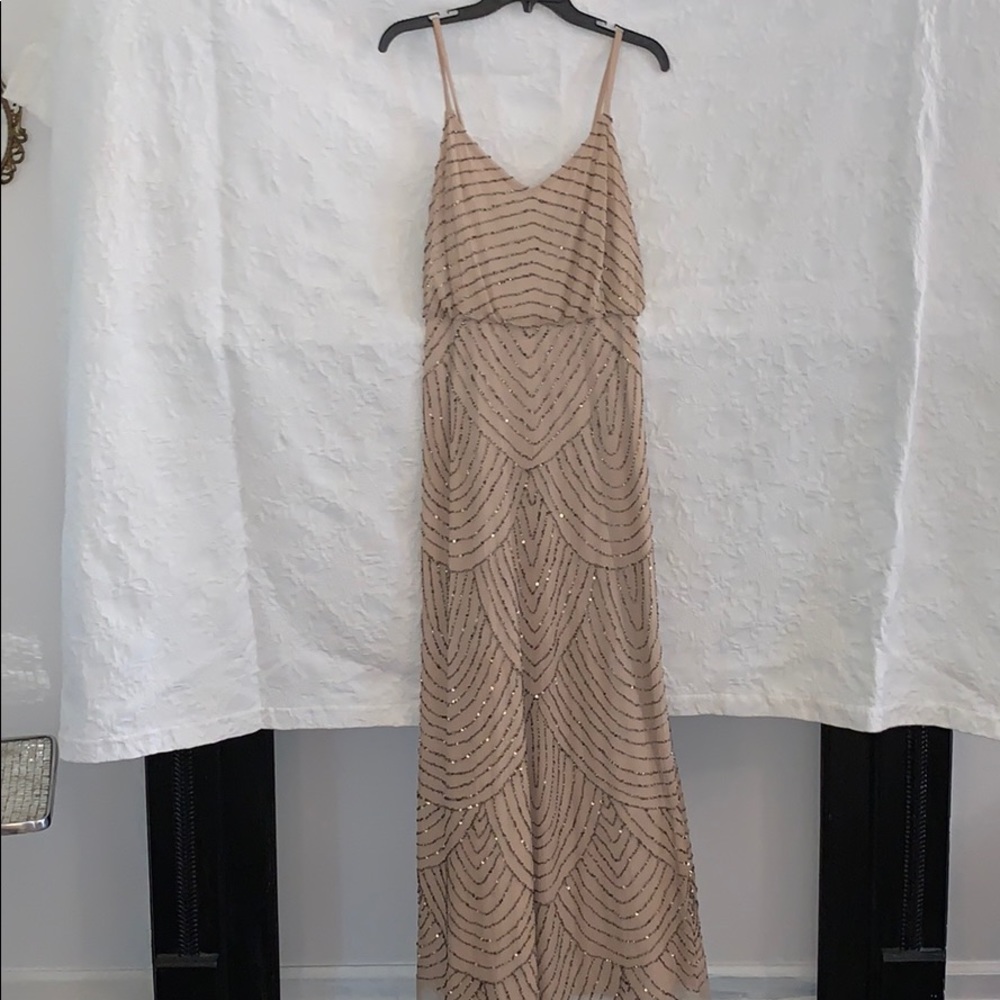 Beautiful beaded adrianna Papell dress